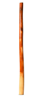 Ironbark Didgeridoo (IB290)